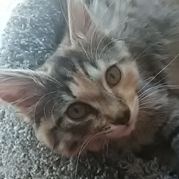 Meet your Posher, Maili - Picture 1 of 1